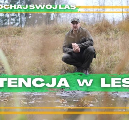 Jak zatrzymać WODĘ w lesie? #45