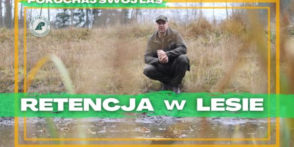 Jak zatrzymać WODĘ w lesie?  #45