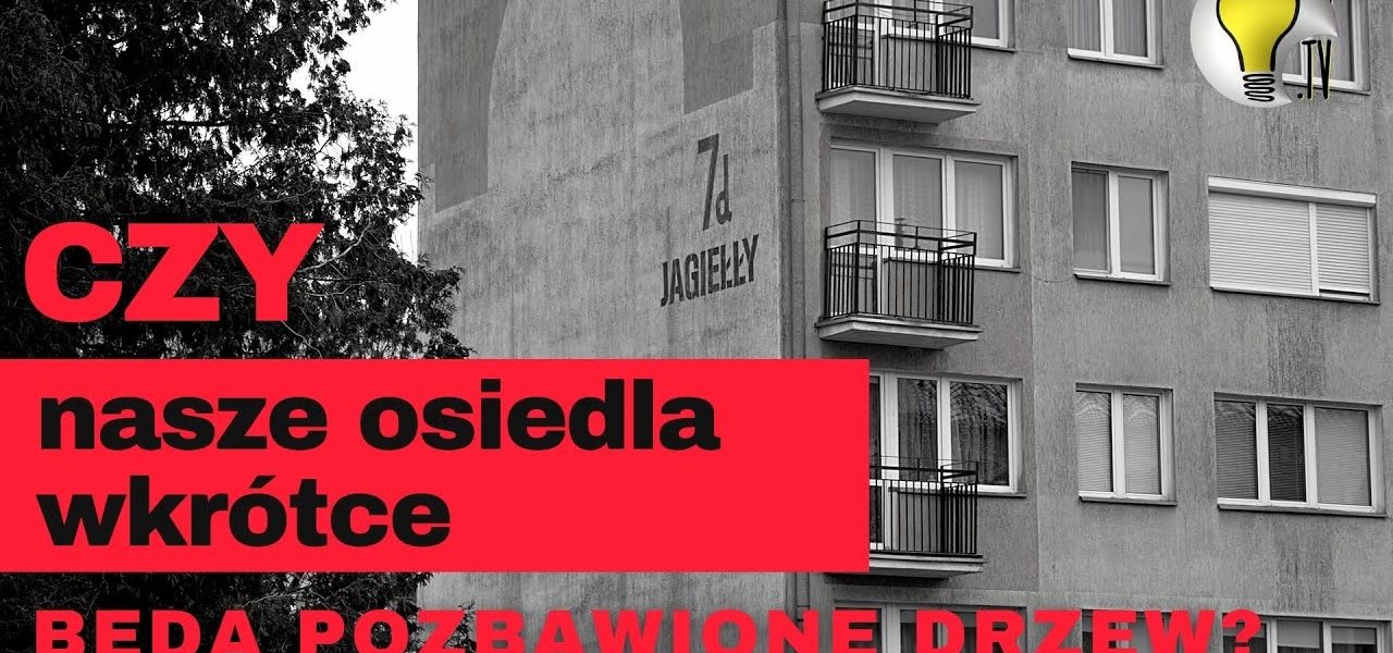 Wycinka drzew na ulicy Jagiełły i Czarnieckiego. Czy jest konieczna? Niestety TAK.