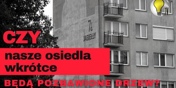 Wycinka drzew na ulicy Jagiełły i Czarnieckiego. Czy jest konieczna? Niestety TAK.