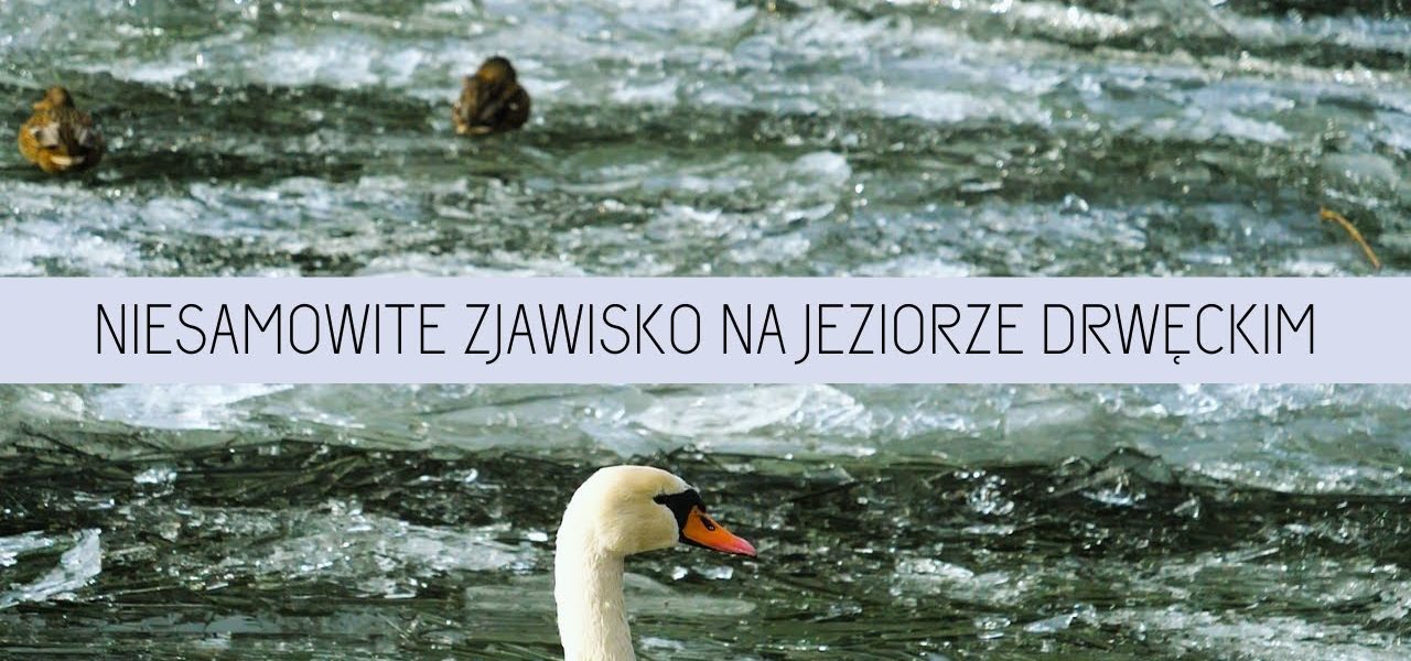 Niesamowite zjawisko! Co zrobił silny wiatr z taflami lodu na jeziorze Drwęckim?