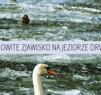 Niesamowite zjawisko! Co zrobił silny wiatr z taflami lodu na jeziorze Drwęckim?
