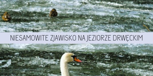 Niesamowite zjawisko! Co zrobił silny wiatr z taflami lodu na jeziorze Drwęckim?